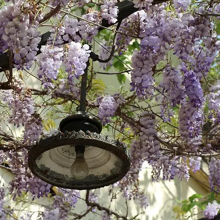 Camalilou Lejlighed *